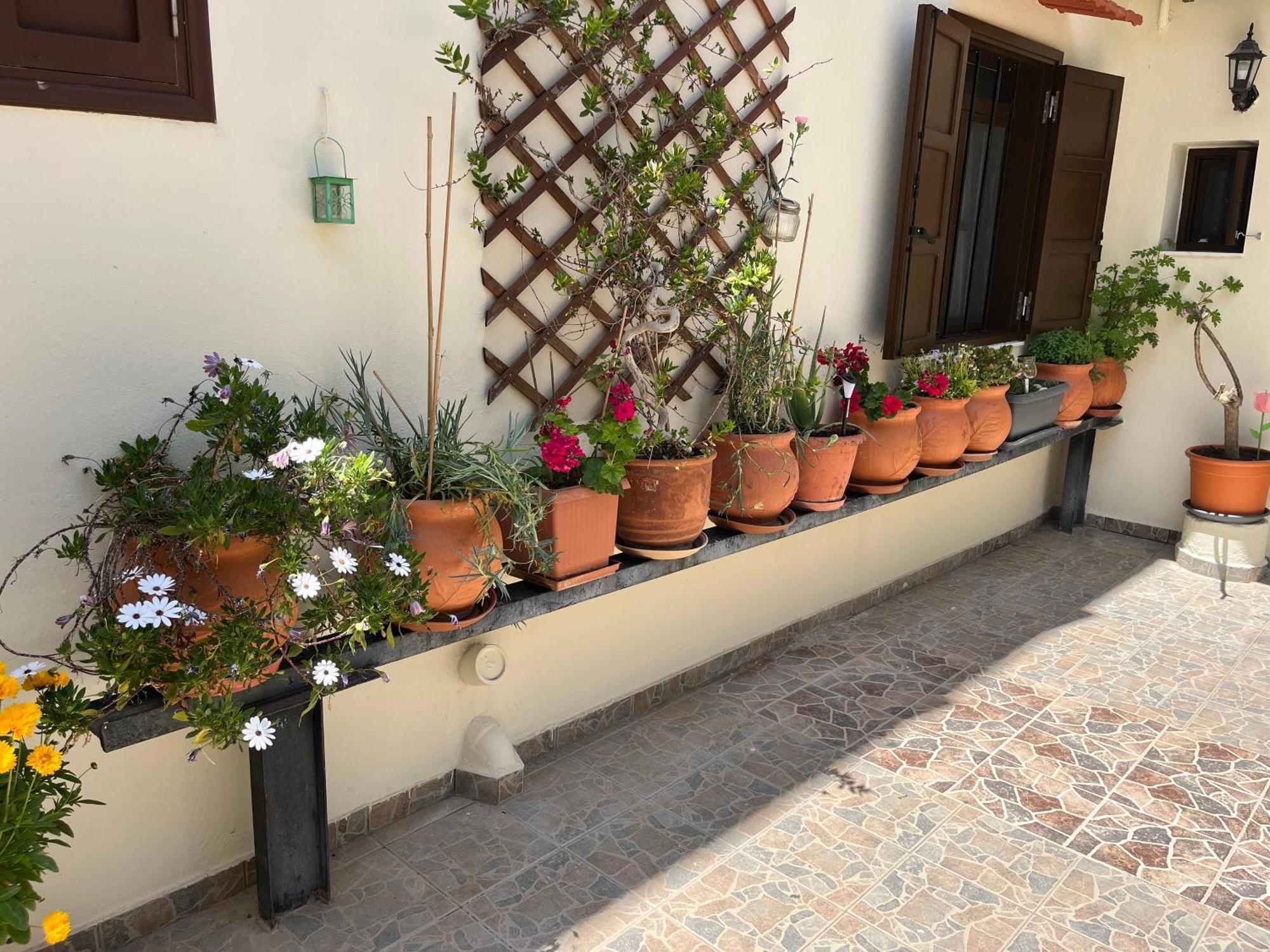 Eleni Rooms Rhodes City Exterior photo